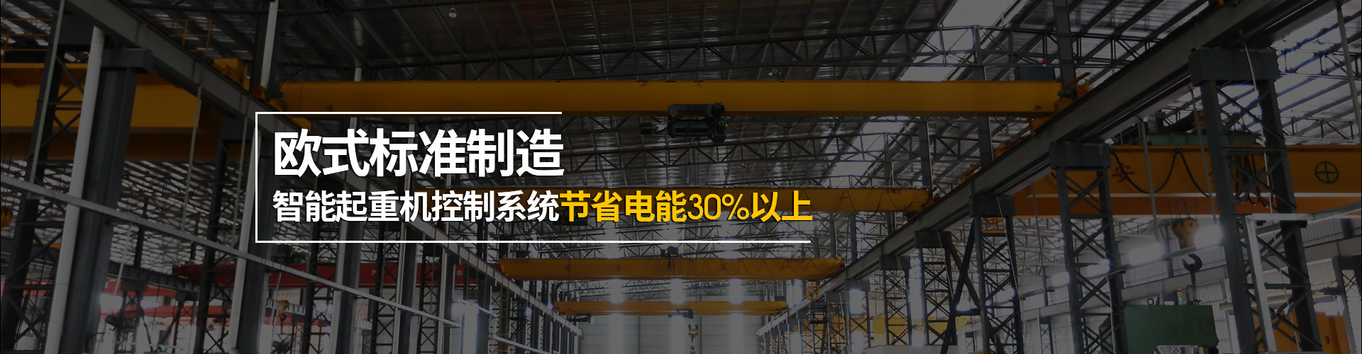 台冠起重机欧式标准制造，智能起重机控制系统节省电能30%以上